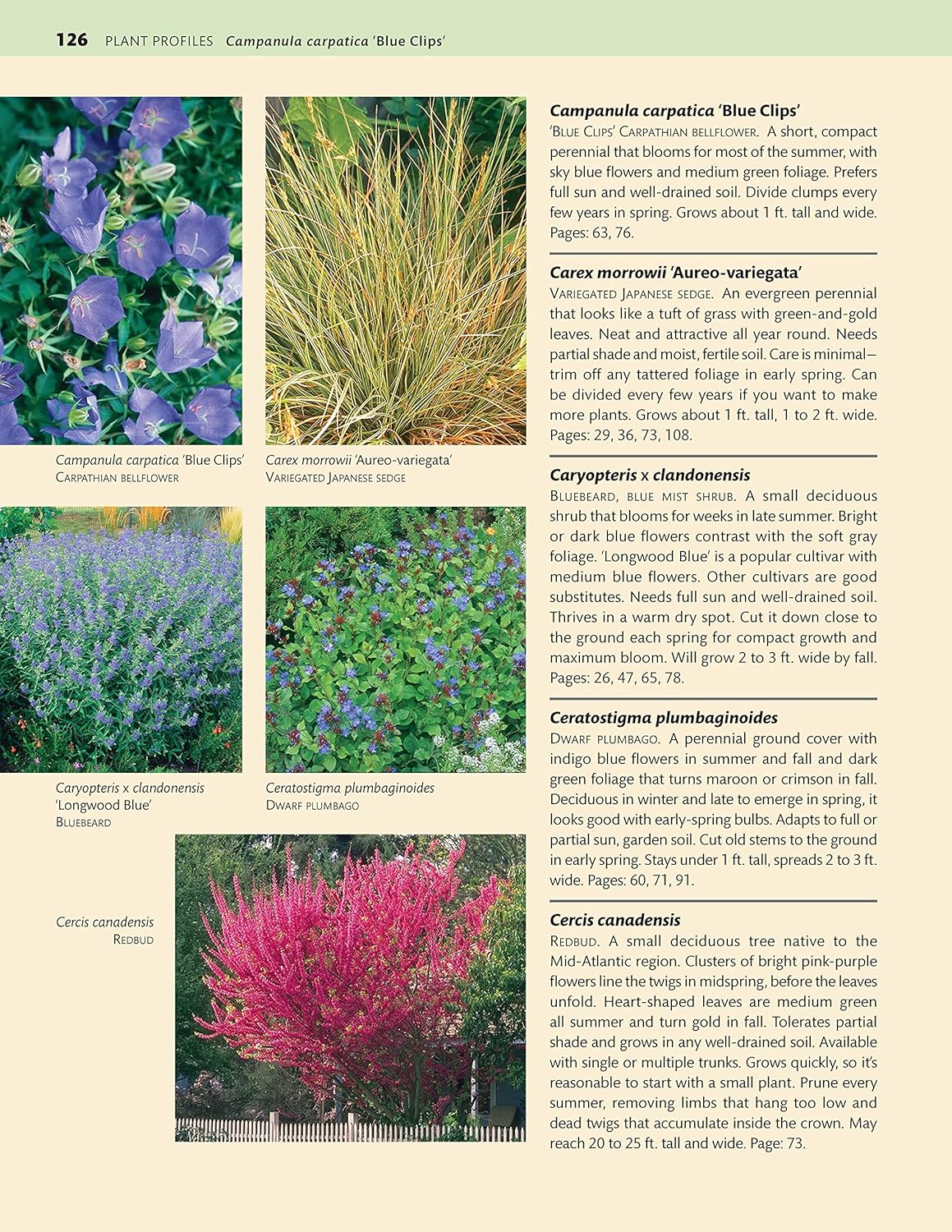 Mid-Atlantic Home Landscaping (4th Edition): Landscape, Plant, and Garden Design for Your Region