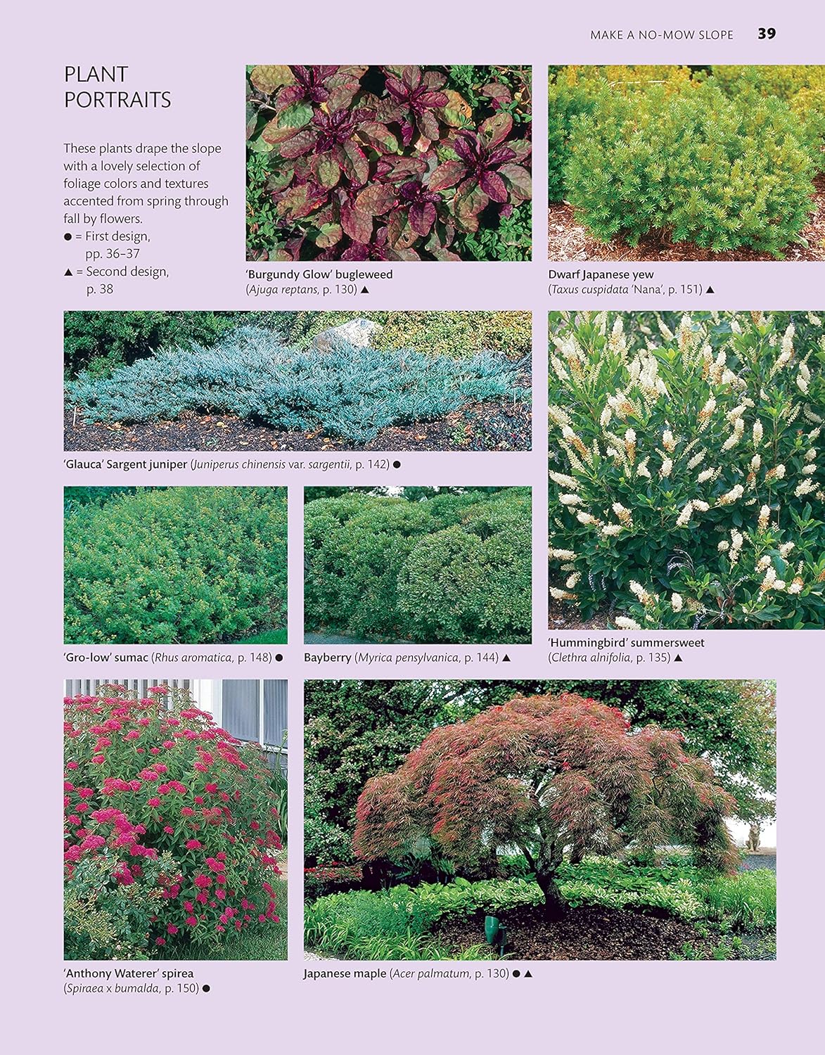 Northeast Home Landscaping (3rd Edition): Including Southeast Canada